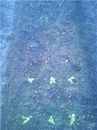 d7e12a56-Picture 025.jpg